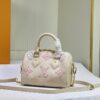 Chic Charm LV Handbag M58953