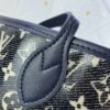 Chic Charm LV Handbag M22921 Chic Charm LV Handbag M22921