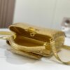 Chic Charm LV Handbag N92173-M48865.2