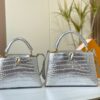 Chic Charm LV Handbag N92173-M48865.2