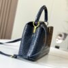 Chic Charm LV Handbag N92173-M48865.1