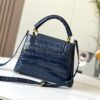 Chic Charm LV Handbag N92173-M48865.1