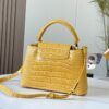 Chic Charm LV Handbag N92173-M48865.1