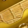Chic Charm LV Handbag N92173-M48865.1