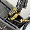 Chic Charm LV Handbag N92173-M48865.1