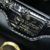 Chic Charm LV Handbag N92173-M48865.1