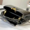 Chic Charm LV Handbag N92173-M48865.1