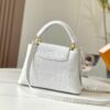 Chic Charm LV Handbag N92173-M48865.1