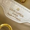 Chic Charm LV Handbag N92173-M48865.1