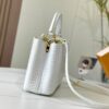 Chic Charm LV Handbag N92173-M48865.1