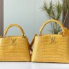 Chic Charm LV Handbag N92173-M48865.1