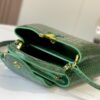 Chic Charm LV Handbag N92173-M48865