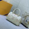 Chic Charm LV Handbag M46667