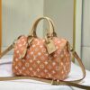 Chic Charm LV Handbag M24424-1