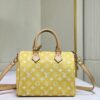 Chic Charm LV Handbag M24424