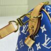 Chic Charm LV Handbag M24424
