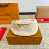 Stylish Fashion Carry LV Handbag L1174