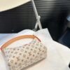 Stylish Fashion Carry LV Handbag L1119 Stylish Fashion Carry LV Handbag L1119