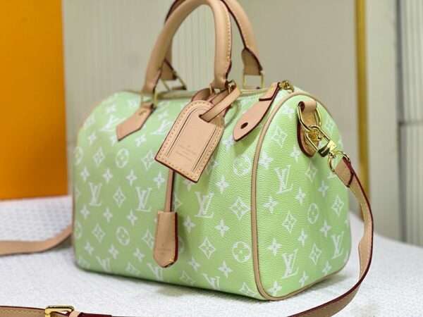 New Fashion L*V Handbag 1447