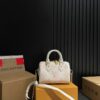 Stylish Fashion Carry LV Handbag L1050