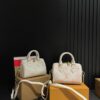 Stylish Fashion Carry LV Handbag L1050