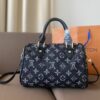 Stylish Fashion Carry LV Handbag L1005