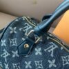 Stylish Fashion Carry LV Handbag L1005