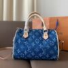 Stylish Fashion Carry LV Handbag L1005