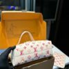 Stylish Fashion Carry Bag L4954