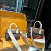 Stylish Fashion Carry Bag L4945