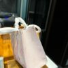 Stylish Fashion Carry Bag L4942