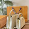Stylish Fashion Carry Bag L4929