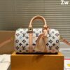 Stylish Fashion Carry Bag L4922