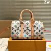 Stylish Fashion Carry Bag L4922