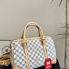 Stylish Fashion Carry Bag L4915