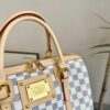 Stylish Fashion Carry Bag L4915