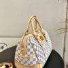 Stylish Fashion Carry Bag L4915