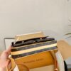 Stylish Fashion Carry Bag L4914