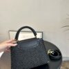 Stylish Fashion Carry Bag L4911