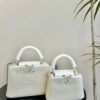Stylish Fashion Carry Bag L4911