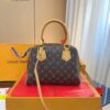 Stylish Fashion Carry Bag L4834-1