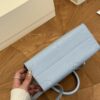 Stylish Fashion Carry Bag L4881