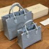 Stylish Fashion Carry Bag L4881