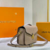 Stylish Fashion Carry L*V Handbag 889