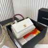 Stylish Fashion Carry Bag C3646