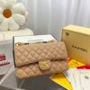 Stylish Fashion Carry Bag C3607