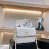 Stylish Fashion Carry Bag C3571 Stylish Fashion Carry Bag C3571