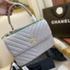Stylish Fashion Carry Bag C3533
