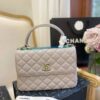 Stylish Fashion Carry Bag C3532