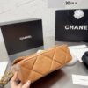 Stylish Fashion Carry Bag C3525
